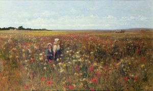 A Poppyfield, 1897